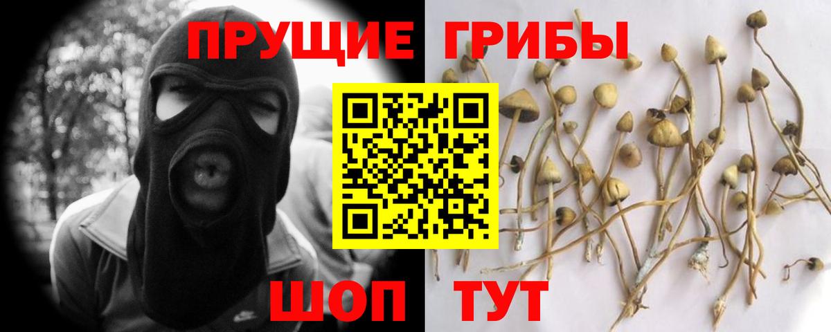 Псилоцибиновые грибы GOLDEN TEACHER  Псилоцибиновые грибы Psilocybe  Вход с VPN  Кондопога 